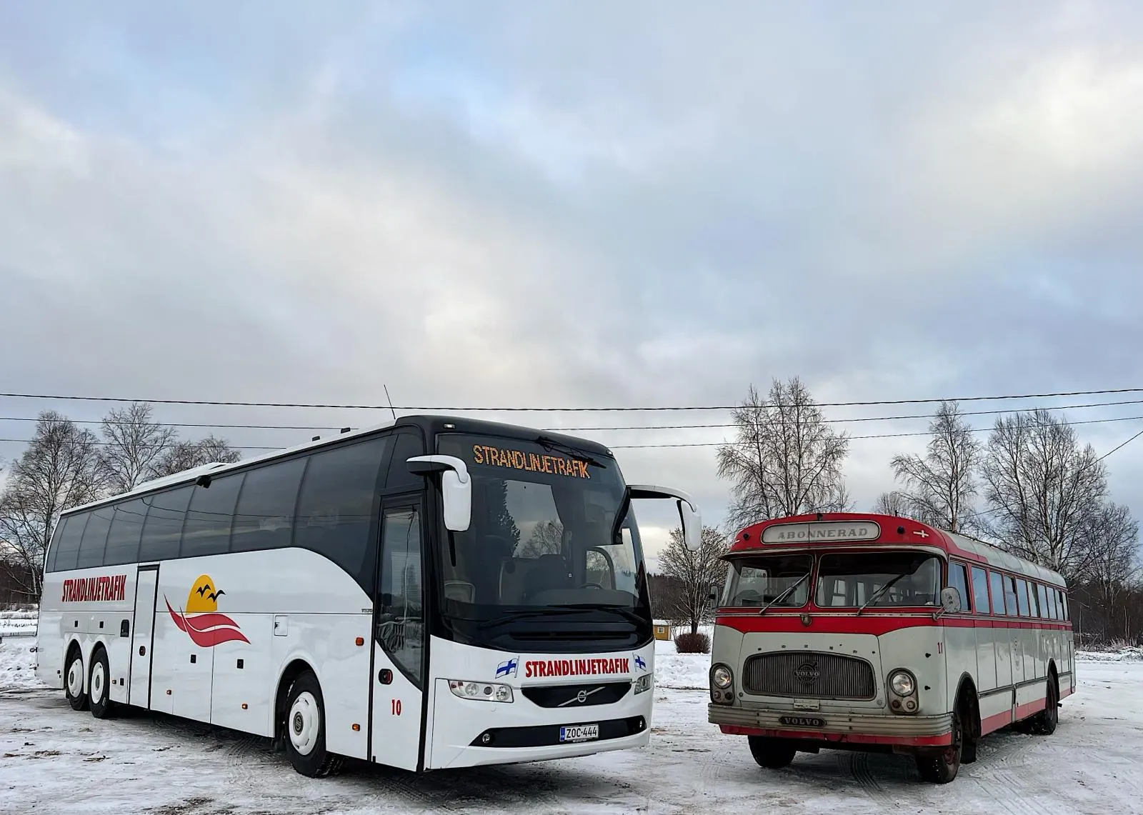 Strandlinjetrafik charterresor samt linje- och skoltrafik