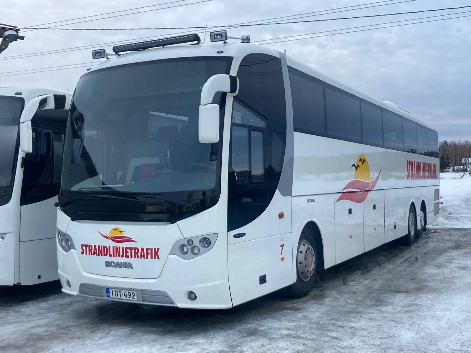 Strandlinjetrafik charterresor samt linje- och skoltrafik